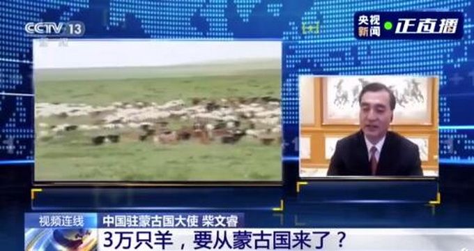 推荐|蒙古向中国捐赠3万只羊由湖北安排，先在二连浩特进行检疫和屠宰加工