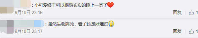 热点|大熊猫雷雷癫痫发作去世，曾哺育赠台大熊猫圆圆