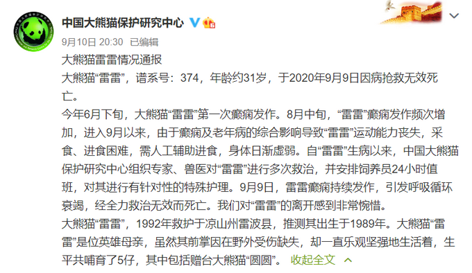 |大熊猫雷雷癫痫发作去世，其前掌缺失却很坚强，曾哺育赠台大熊猫圆圆
