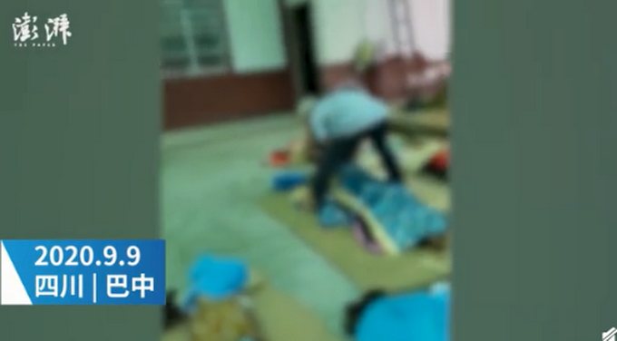 热点|爷孙三人收稻谷遭毒蜂蜇伤身亡，网友：啥品种？大家一定要小心！