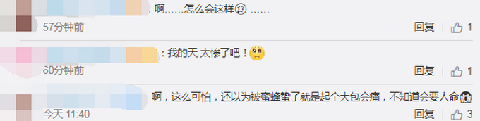 热点|爷孙三人收稻谷遭毒蜂蜇伤身亡，网友：啥品种？大家一定要小心！