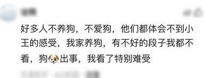 推荐|公狗遇车祸倒在血泊中，母狗悲嚎摇尾求救，在现场守候10天