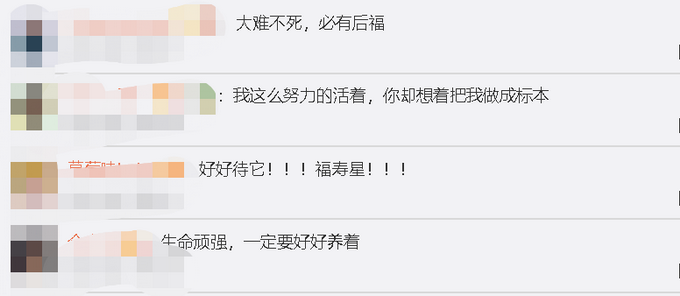 推荐|乌龟因疫情被困快递盒60天，买家拆开惊呆了，网友纷纷为它起名