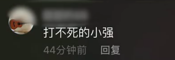 蟑螂|蟑螂被女子盖在锅盖下，20天后一看不淡定了，网友：你熬不过它