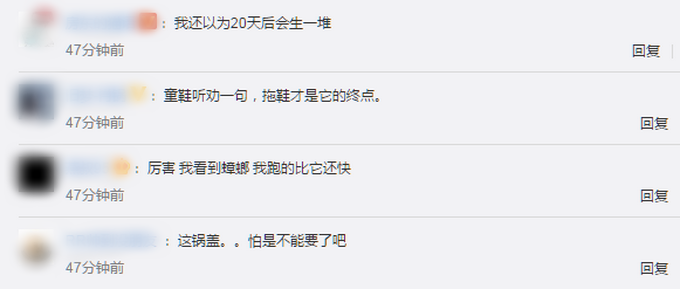 |蟑螂被盖在锅盖下20天还是活蹦乱跳，网友：拖鞋才是它的终点