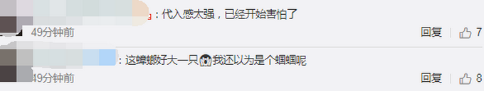 热点|女子拿锅盖抓住蟑螂，放话让它“牢底坐穿”，20天后一看不淡定了