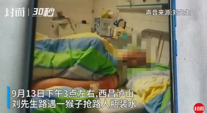 |男子西昌光福寺见义勇为遭猴群报复，导致其腰椎骨折，全身多处受伤