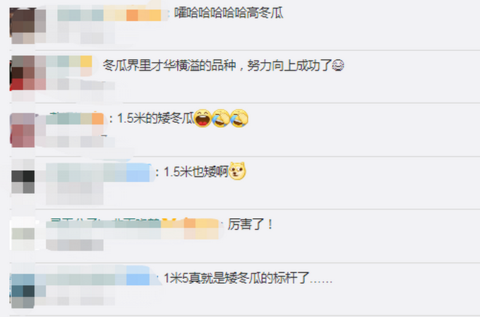 推荐|逆天高度！湖南农户种出1.5米高冬瓜 网友：这下没人说矮冬瓜了