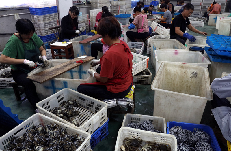 |长三角“大闸蟹云拼节”启动：沪苏浙皖联合“力拼”源头好蟹