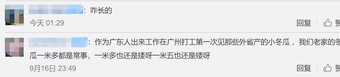 热点|农户种出1米5高冬瓜，网友：得亏本人高一点，不然就尴尬了