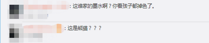 推荐|罕见！四川发现褪色小熊猫，网友：这只咋没化妆就出门了