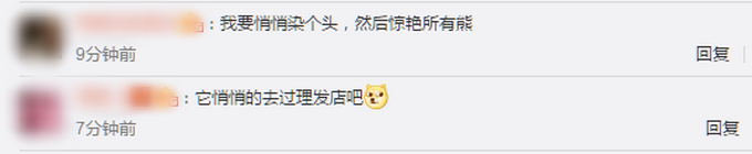 |罕见！四川发现褪色小熊猫，网友调侃：悄悄染个头，然后惊艳所有熊