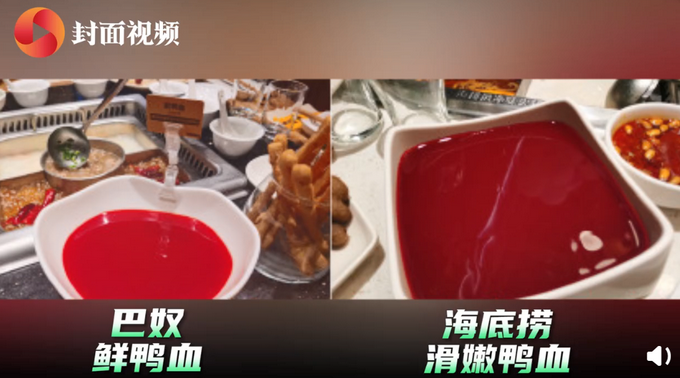 热点|菜品摆盘疑遭海底捞抄袭？巴奴回应：欢迎海底捞加入巴奴产品主义