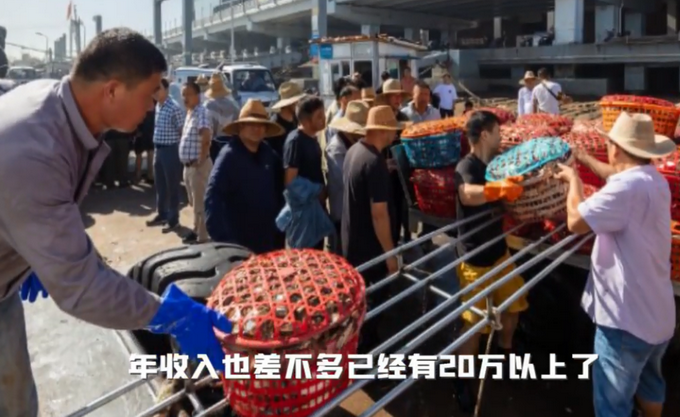 |从小晕船的海归放弃百万年薪当渔贩子？助30多人年入20万