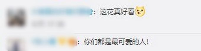 热点|甜！入伍新兵给铁路小姐姐送花，网友：你们都是最可爱的人