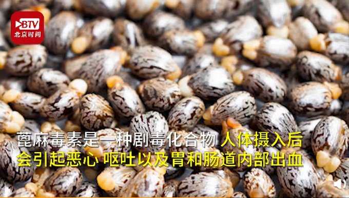 热点|美媒：女子涉嫌向特朗普寄毒信被捕，此毒能使人循环系统崩溃而死