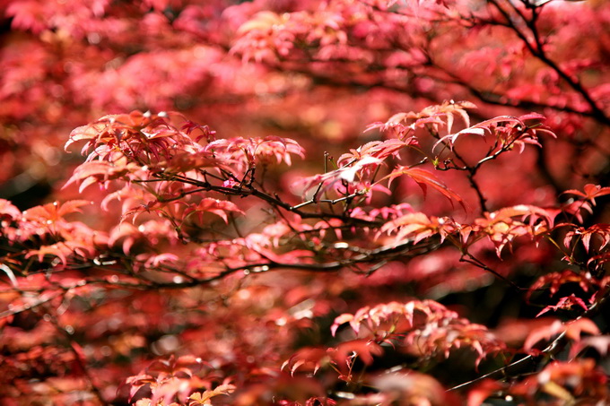 |今年将迎124年来最早秋分，对人们生产生活有影响吗？专业人士分析