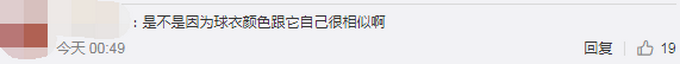 热点|金刚鹦鹉空降球员头顶，“叫停”比赛！网友笑翻：这是最佳观看点