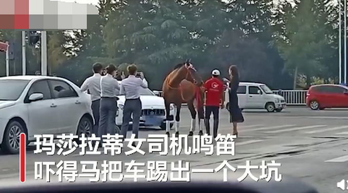 热点|女车主鸣笛惊吓致马儿惊慌，山东街头一真马撞上玛莎拉蒂