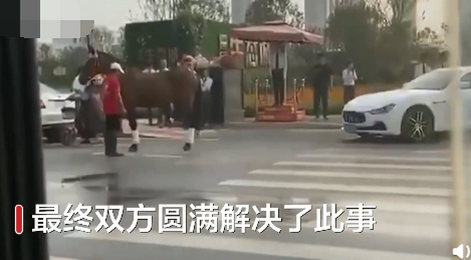 热点|女车主鸣笛惊吓致马儿惊慌，山东街头一真马撞上玛莎拉蒂