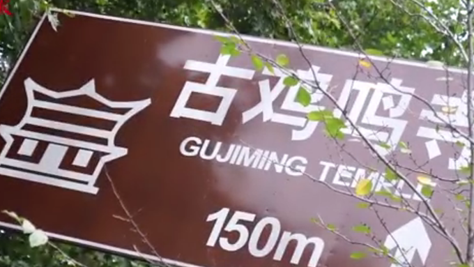 樱花|南京鸡鸣寺樱花桂花齐开放，专家：樱花树误“以为”春天到了