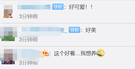 云南|云南龙陵发现新物种高黎贡球兰，双层五角状花型很独特