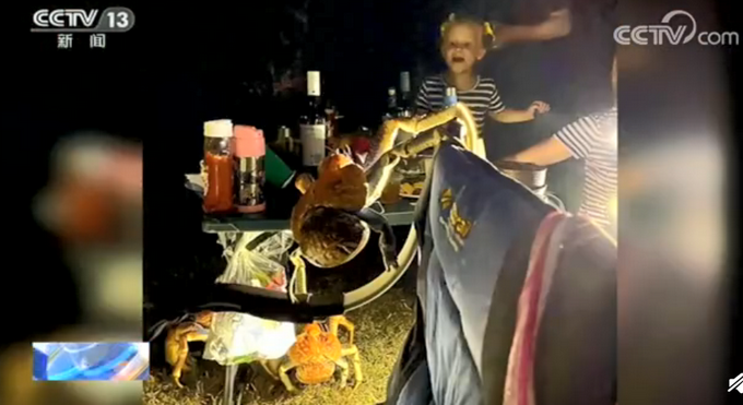 热点|外国一家庭烧烤时爬来50多只大螃蟹，网友：长得好像巨型蜘蛛