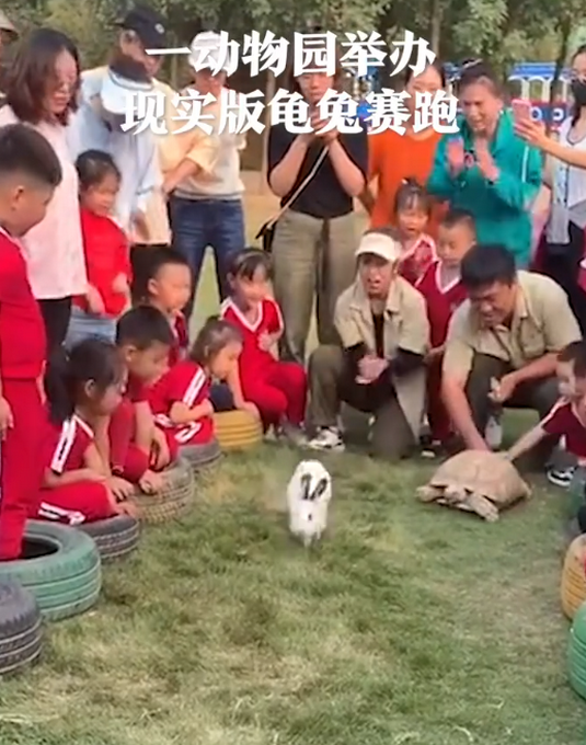 热点|现实版龟兔赛跑，结果乌龟真赢了！网友神回复：乌龟赢在不爱吃草
