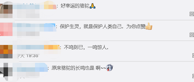 推荐|骆驼被铁丝缠脚，被三名自驾小伙解救后长鸣感谢 网友：万物皆有灵