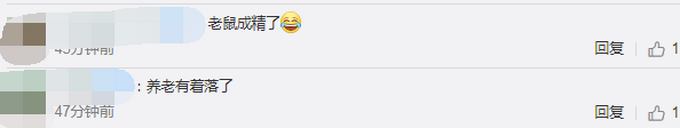 热点|非洲巨鼠因搜寻地雷被授奖章：7年清理超14.1万平方米土地