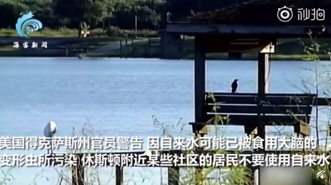 推荐|美自来水遭致命微型变形虫入侵，致死率超97%，官员警告勿饮自来水