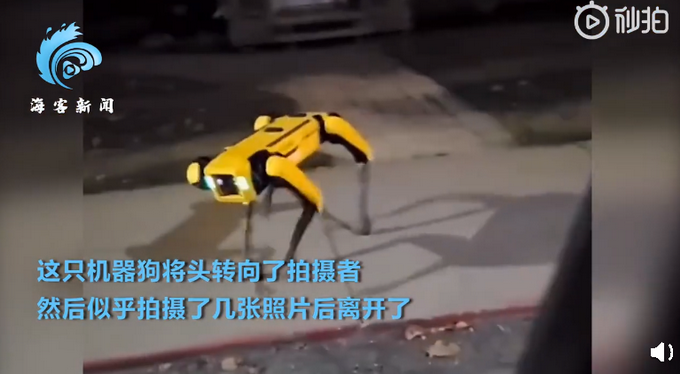 推荐|加拿大一机器狗夜晚独自在街头游荡，似乎还拍摄了照片，此事引网友热议