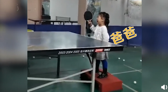 推荐|翻版福原爱？3岁女孩哭着打乒乓仍精准接到，网友：生活没有“容易”二字