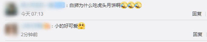 |12种野生动物吃到12款定制月饼，网友：感觉挺好吃，也想尝尝