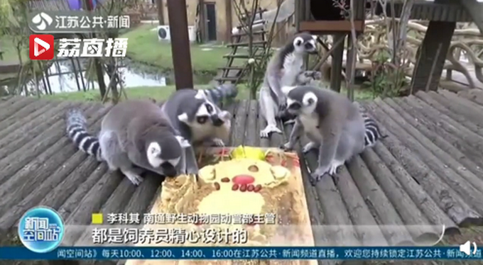 |12种野生动物吃到12款定制月饼，网友：感觉挺好吃，也想尝尝