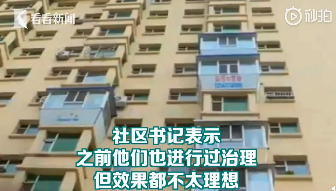 |外卖盒连汤带水抛下楼！找上门后业主拒承认：我家狗干的