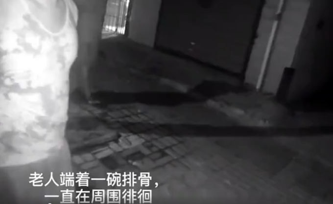 感人|80岁妈妈给57岁儿子送排骨迷路，这一幕令人动容