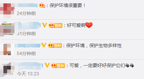 江豚|南京长江江面现数头小江豚，网友：好可爱，一定要好好保护