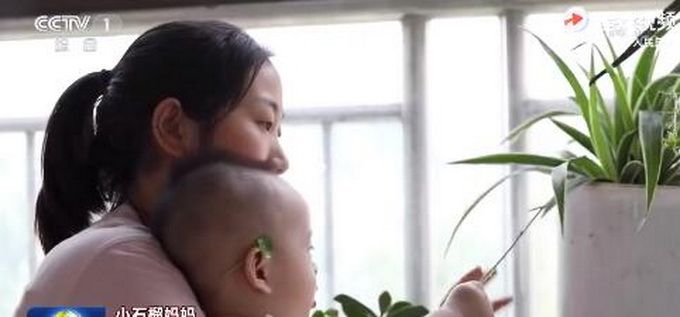 推荐|武汉方舱医院变回体育馆，小石榴也八个月了，一切都好起来了！