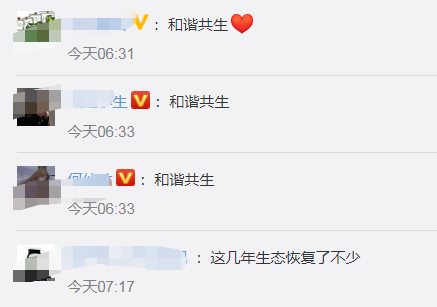 江豚|江豚宝宝长江戏水，“微笑天使”萌萌哒！