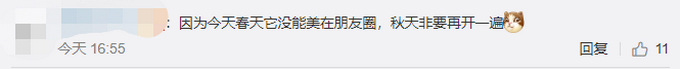 |武汉大学樱花桂花同开，网友：春天没能美在朋友圈，秋天要再开一遍