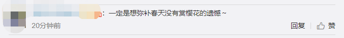|武汉大学樱花桂花同开，网友：春天没能美在朋友圈，秋天要再开一遍