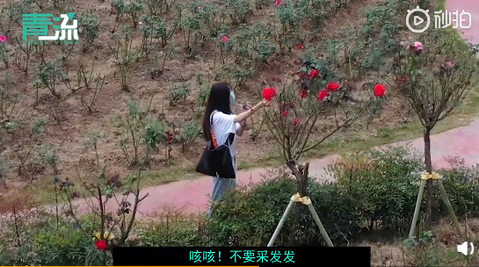 推荐|城管小姐姐用无人机指挥游客找厕所，语言诙谐幽默，网友笑喷