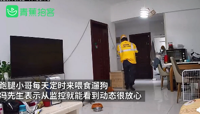 热点|神操作！西安一男子国庆出游找跑腿小哥遛狗：有监控很放心