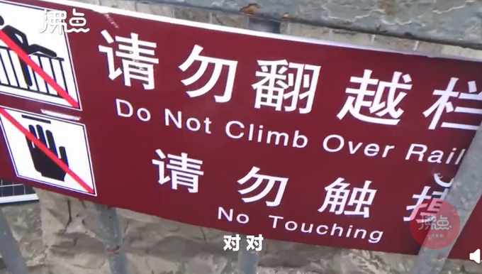 热点|被游客摸出包浆后，龙门石窟采取新措施：紧急焊装几十张铁网保护