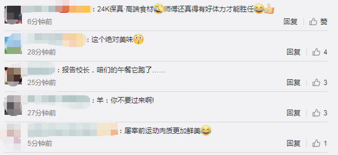 |新疆高校食堂大叔校园追羊跑，网友：午餐跑了