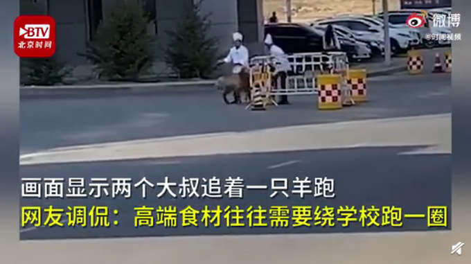 |新疆高校食堂大叔校园里追羊，网友评论亮了