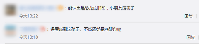 |四川5岁小男孩发现恐龙足迹，网友却吵起来了
