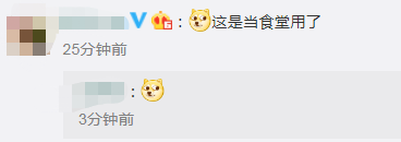 松鼠|松鼠带同伴到干果摊吃霸王餐，从容淡定的样子太萌了！