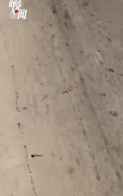 热点|司机沿路捡70多颗钉子获奖5000元，钉子是从货车上掉出来的